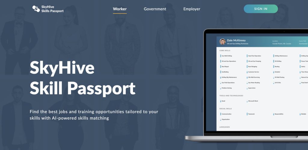 スカイパスポート公式サイト画像